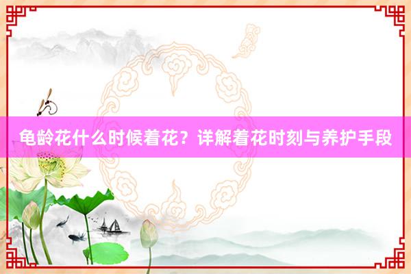 龟龄花什么时候着花？详解着花时刻与养护手段
